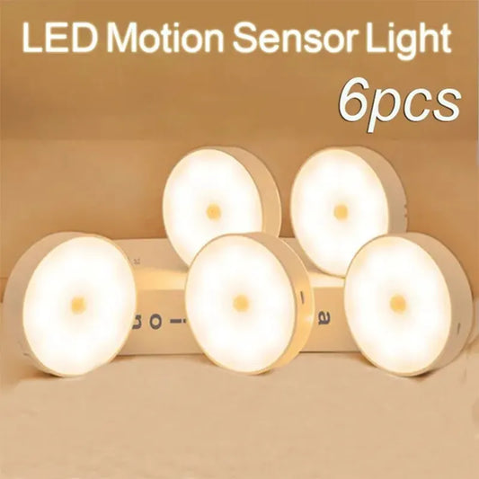 Motion Sensor LED Light