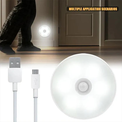Motion Sensor LED Light